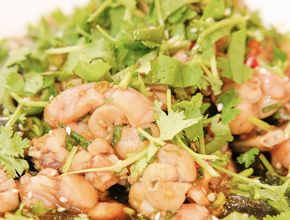 Cold Dish with Cilantro and Chilies